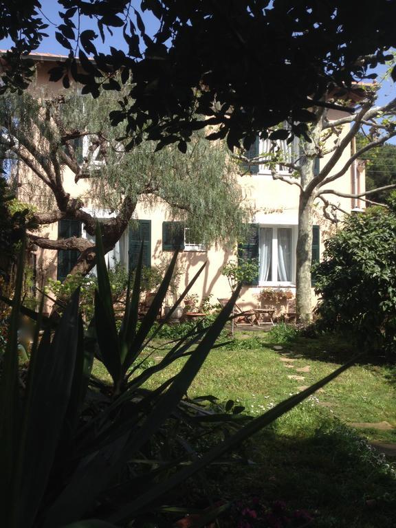 Villa Prétorina Cannes Extérieur photo